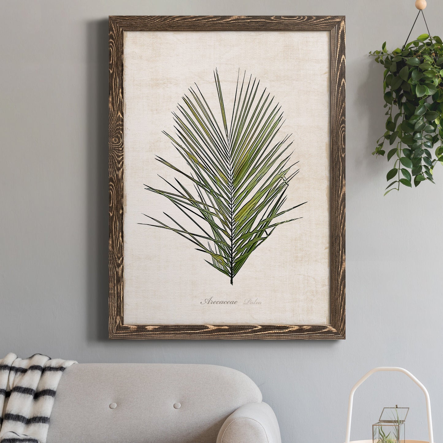 Palm Botanical I - Premium Canvas Framed in Barnwood - Ready to Hang