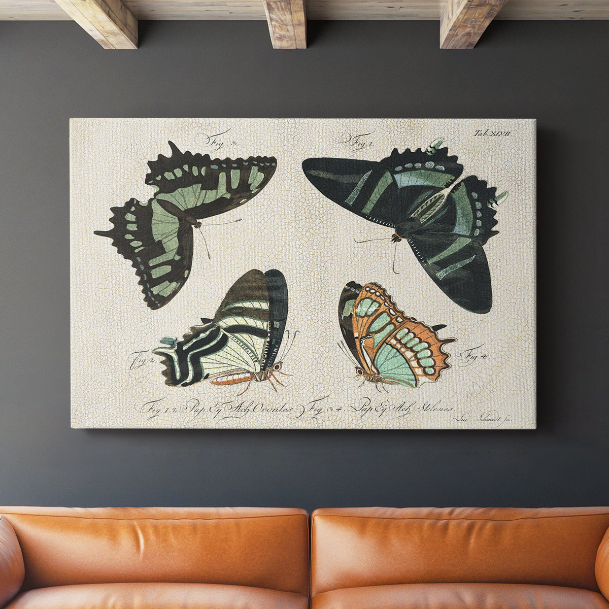 Crackled Butterflies III - Canvas Art Print