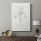 Neutral Iris Sketch I - Canvas Art Print