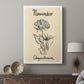 Birth Month XI - Canvas Art Print