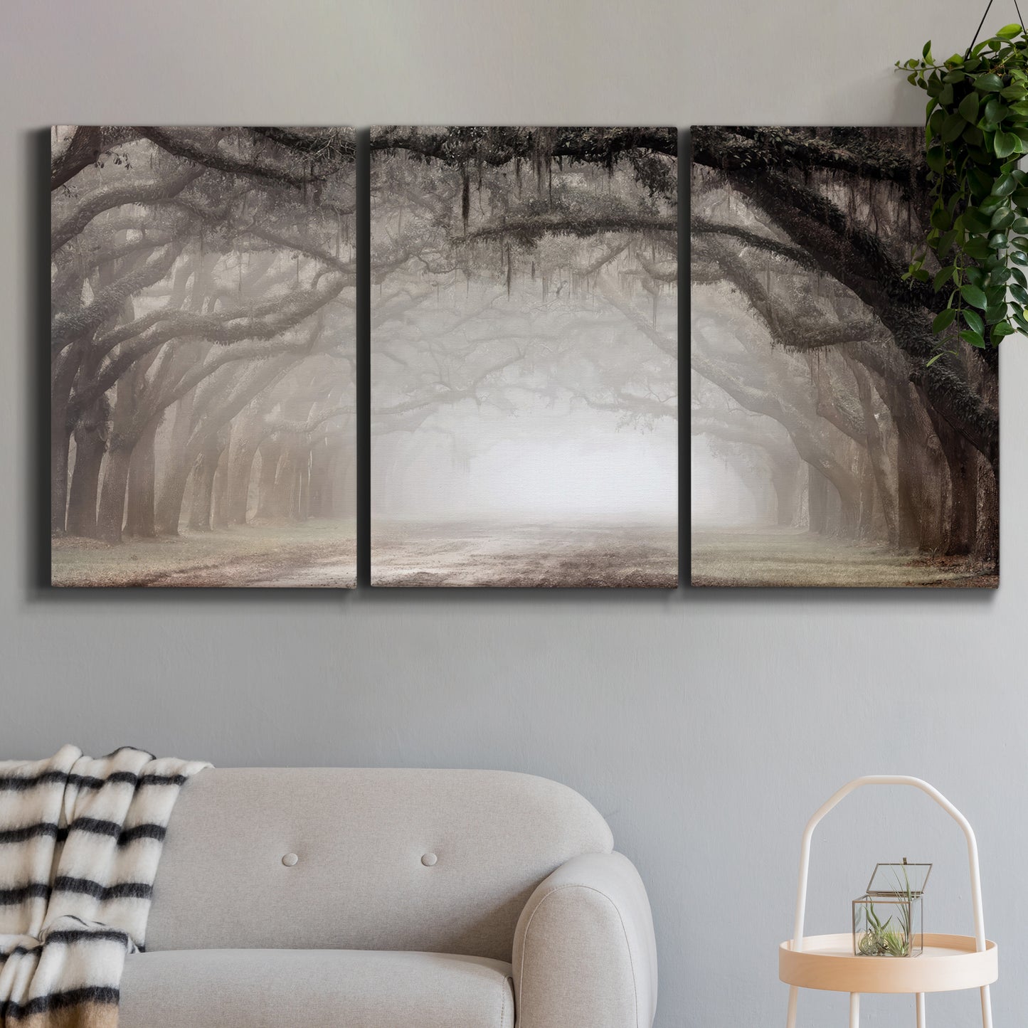 Three-panel canvas wall art featuring tree lined plantation road, displayed in a modern living room above a sofa.