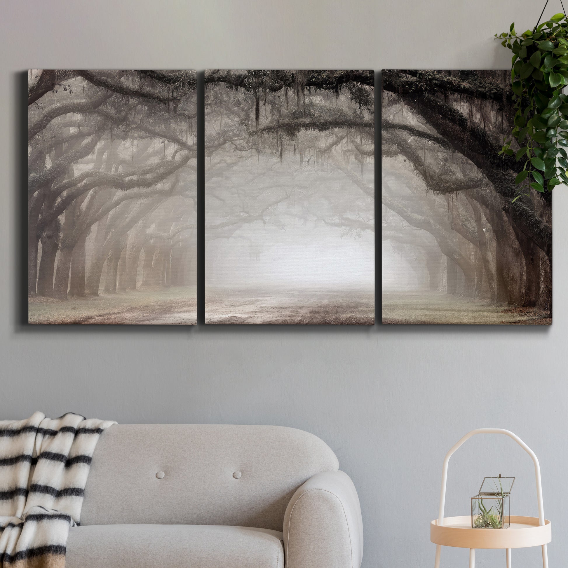 Three-panel canvas wall art featuring tree lined plantation road, displayed in a modern living room above a sofa.