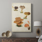 Mushroom Species V - Canvas Art Print