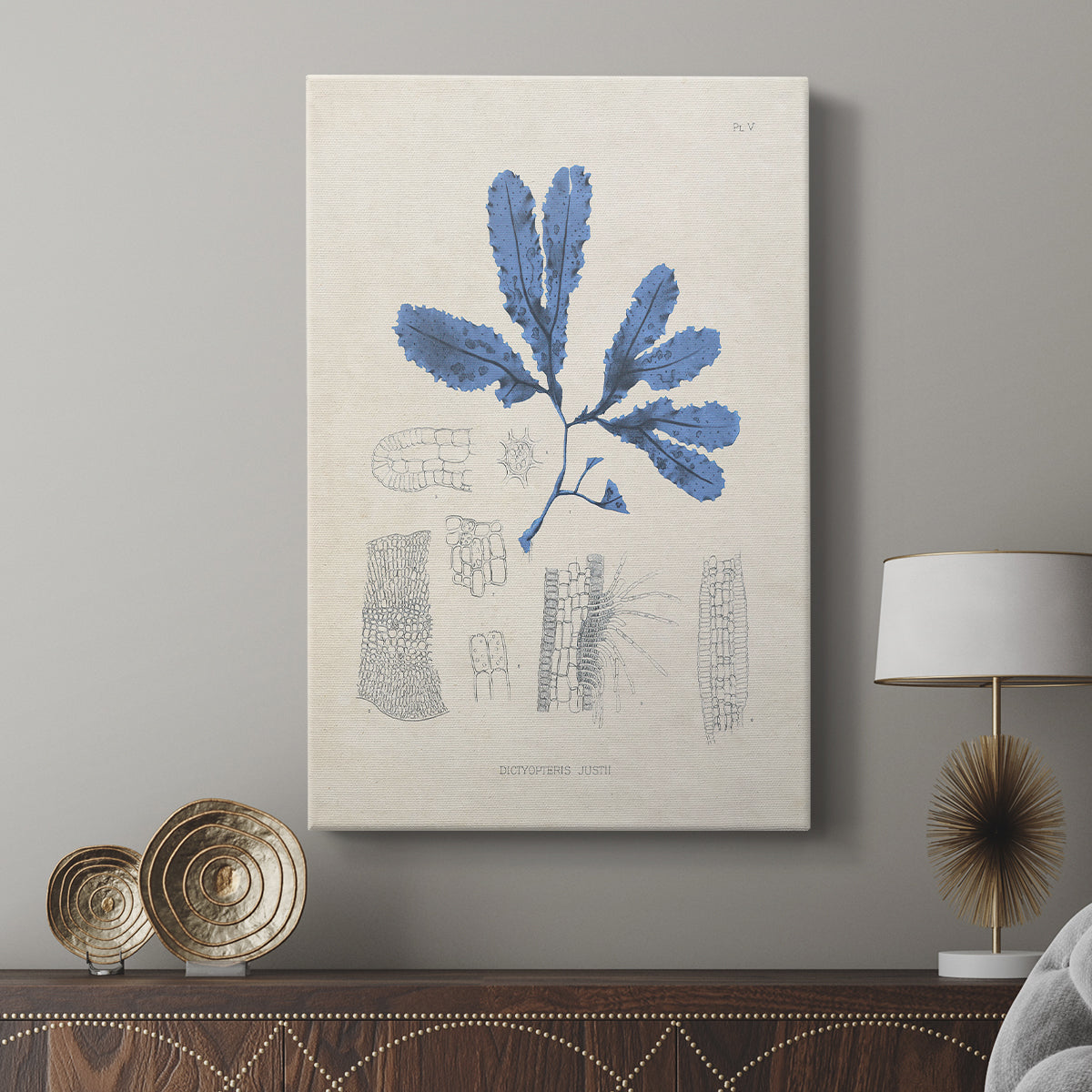 Blue Marine Algae VII - Canvas Art Print
