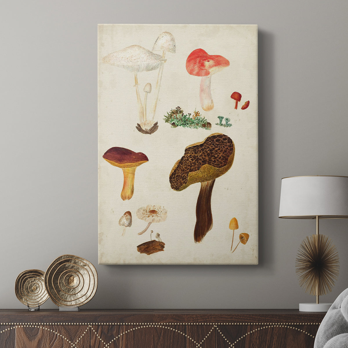 Mushroom Species XI - Canvas Art Print