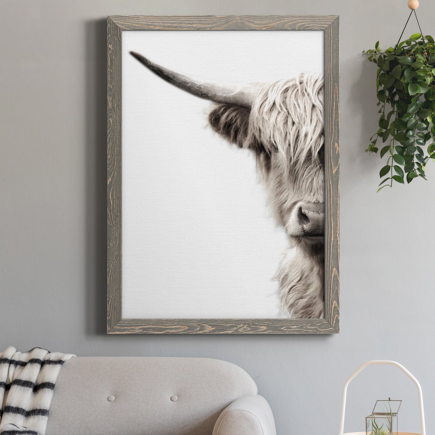 Highland Cattle - Premium Canvas Framed in Barnwood - Ready to Hang