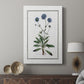 Soft Botanical II - Canvas Art Print