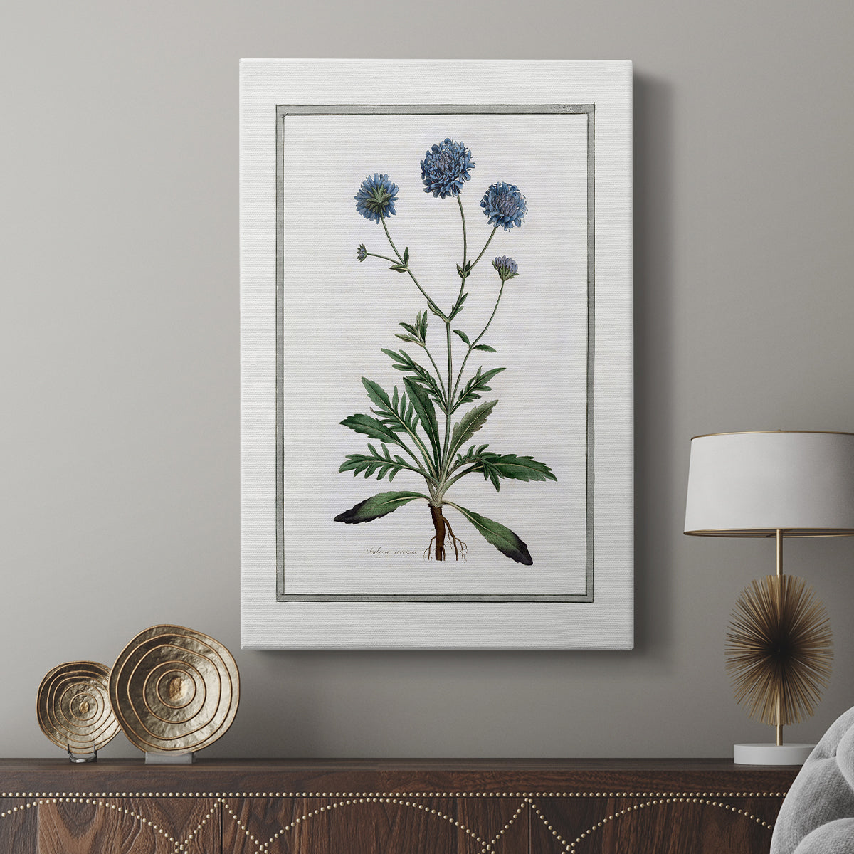 Soft Botanical II - Canvas Art Print