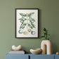 Buchoz Tropicals VII - Restickable Framed Art Print