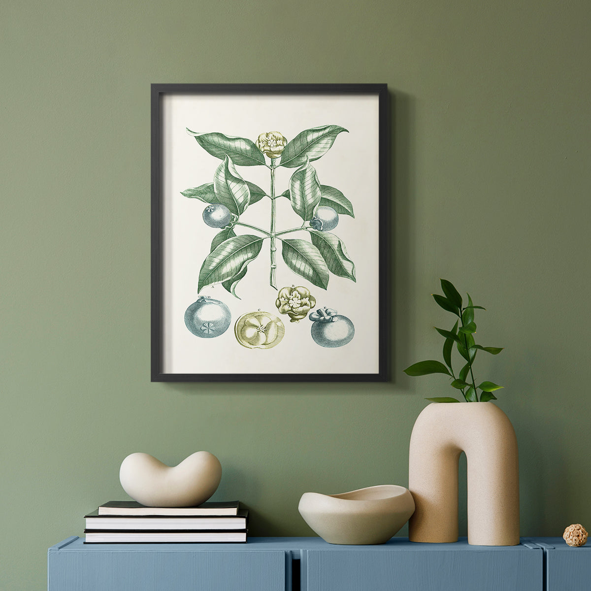 Buchoz Tropicals VII - Restickable Framed Art Print