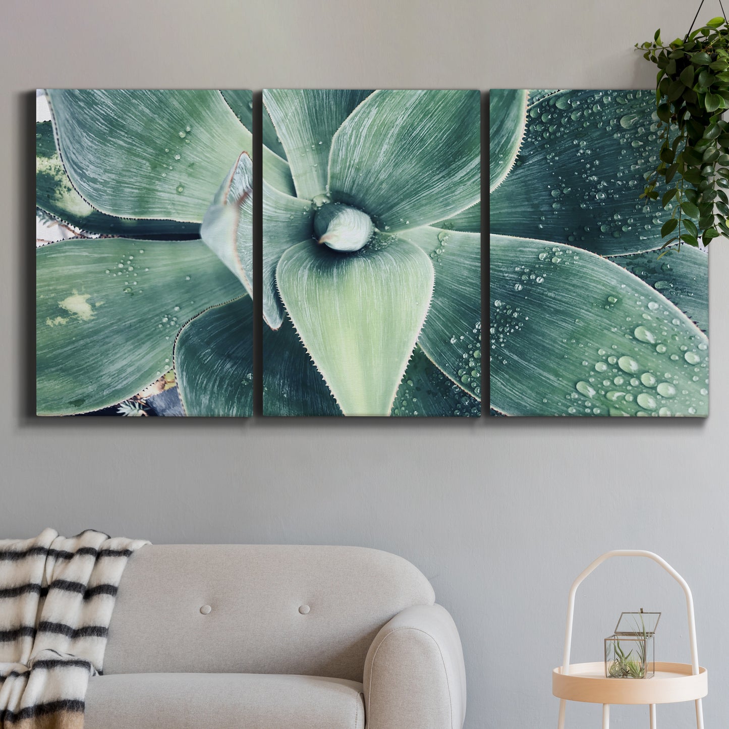 Three-panel canvas wall art featuring green succulent plant photograph, displayed in a modern living room above a sofa.