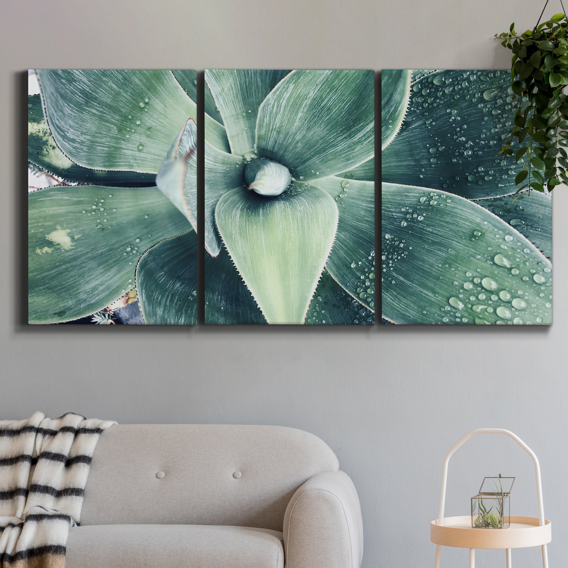 Three-panel canvas wall art featuring green succulent plant photograph, displayed in a modern living room above a sofa.