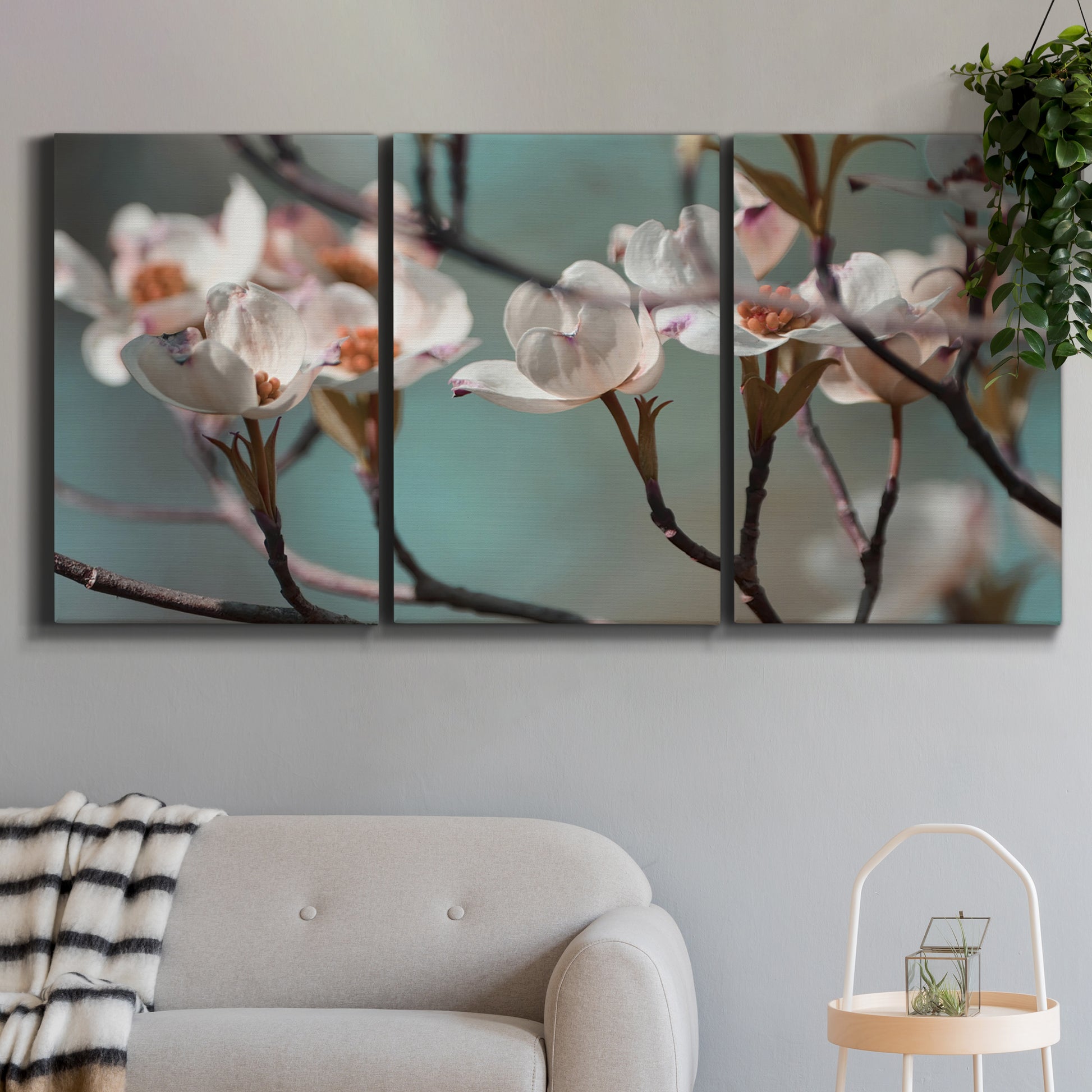 Three-panel canvas wall art featuring dogwood blossoms in spring photograph, displayed in a modern living room above a sofa.