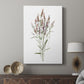 Dainty Botanical III - Canvas Art Print