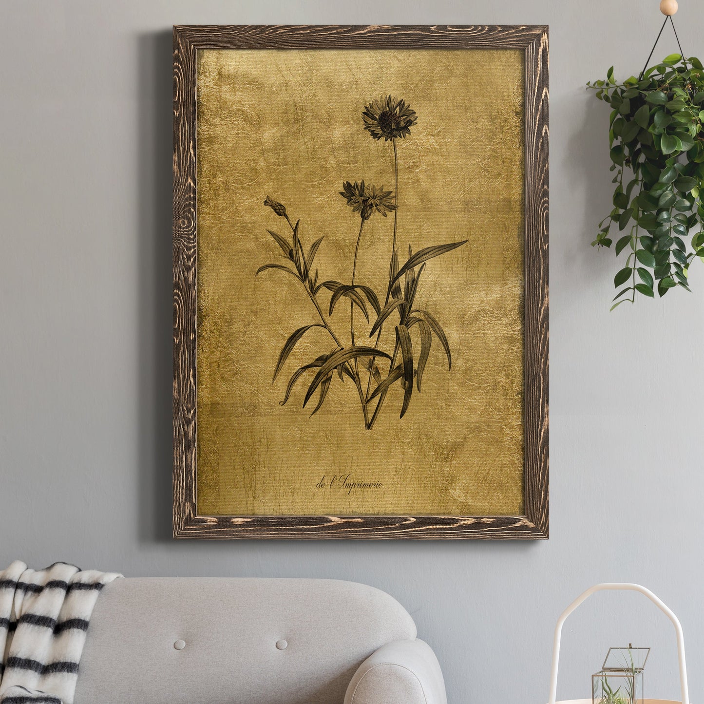 Gold Sketch Botanical I - Premium Canvas Framed in Barnwood - Ready to Hang