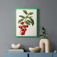 Antique Fruit II - Restickable Framed Art Print