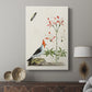 Red-Crested Cardinal and Peruvian Lily, 1796 - Canvas Art Print