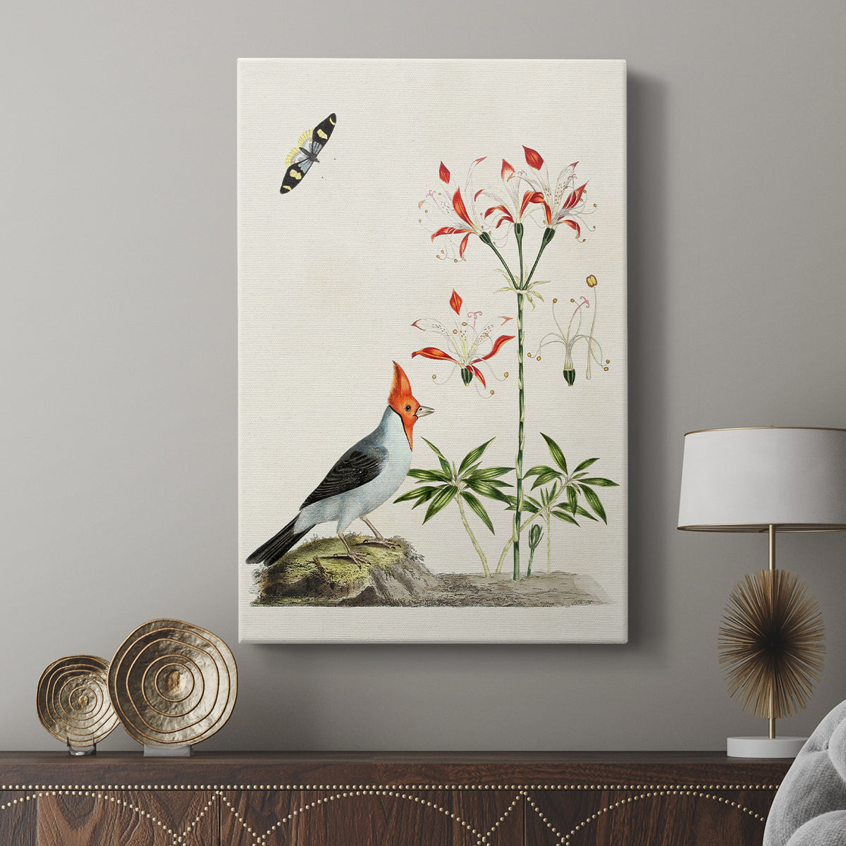 Red-Crested Cardinal and Peruvian Lily, 1796 - Canvas Art Print