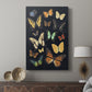 Collected Flutter III - Canvas Art Print