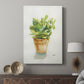 Succulent I - Canvas Art Print