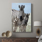 Family of Namibia - Canvas Art Print