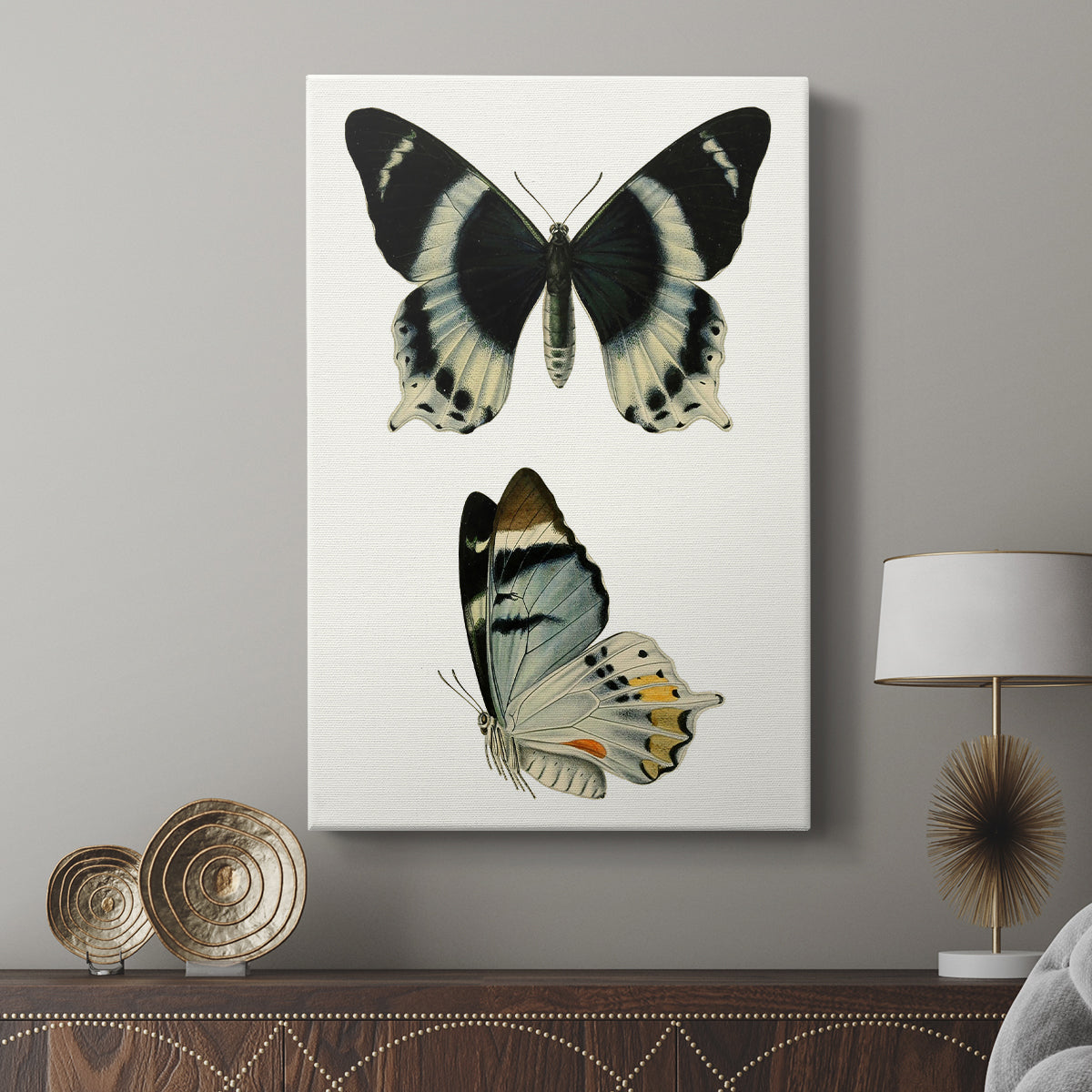 Antique Blue Butterflies I - Canvas Art Print