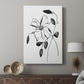 Wild Clematis II - Canvas Art Print