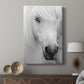 Island Pony I - Canvas Art Print