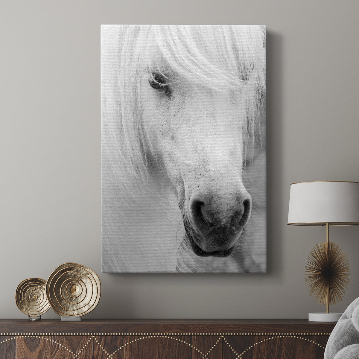 Island Pony I - Canvas Art Print