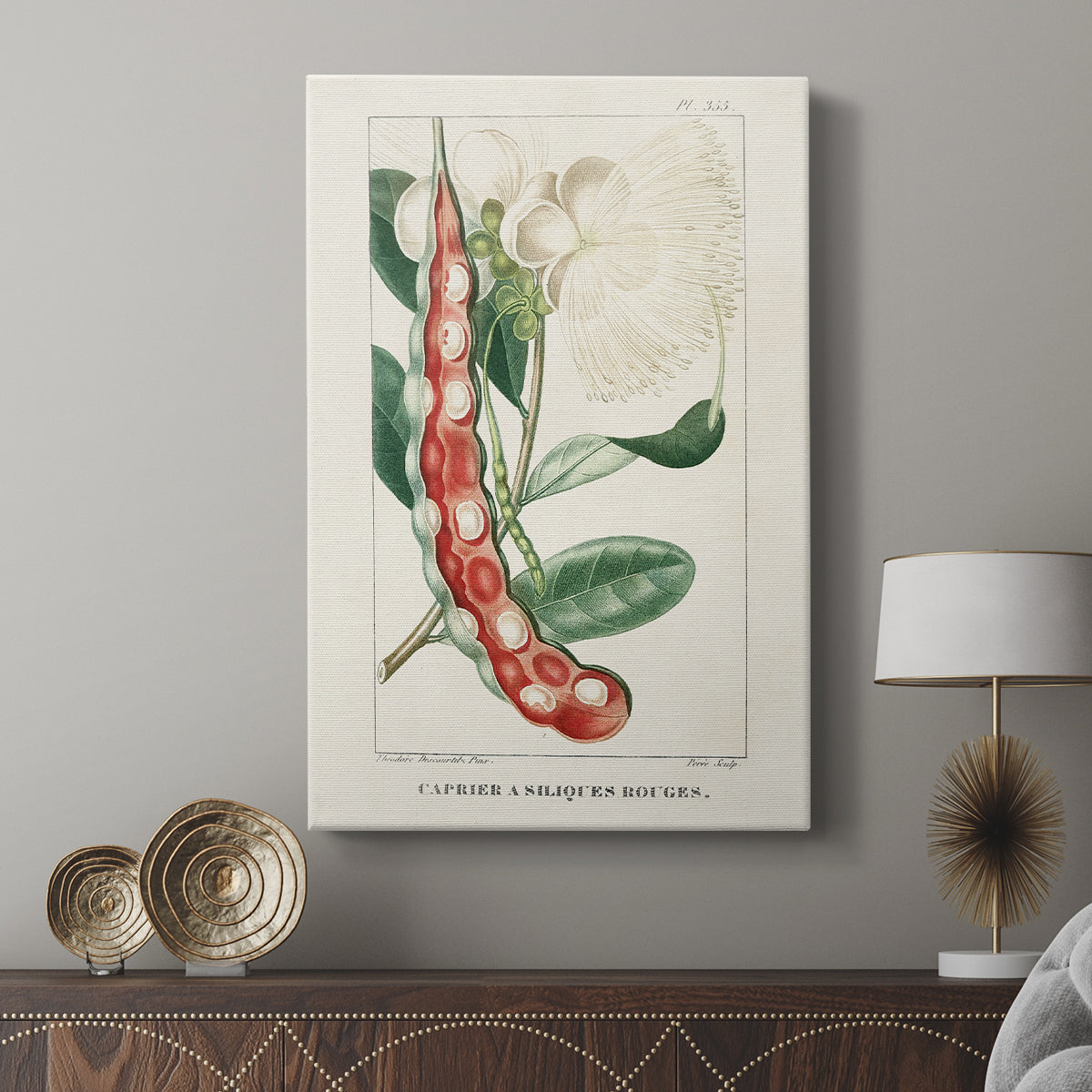 Turpin Tropical Botanicals VIII - Canvas Art Print