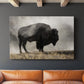 Geyser Basin - Canvas Art Print