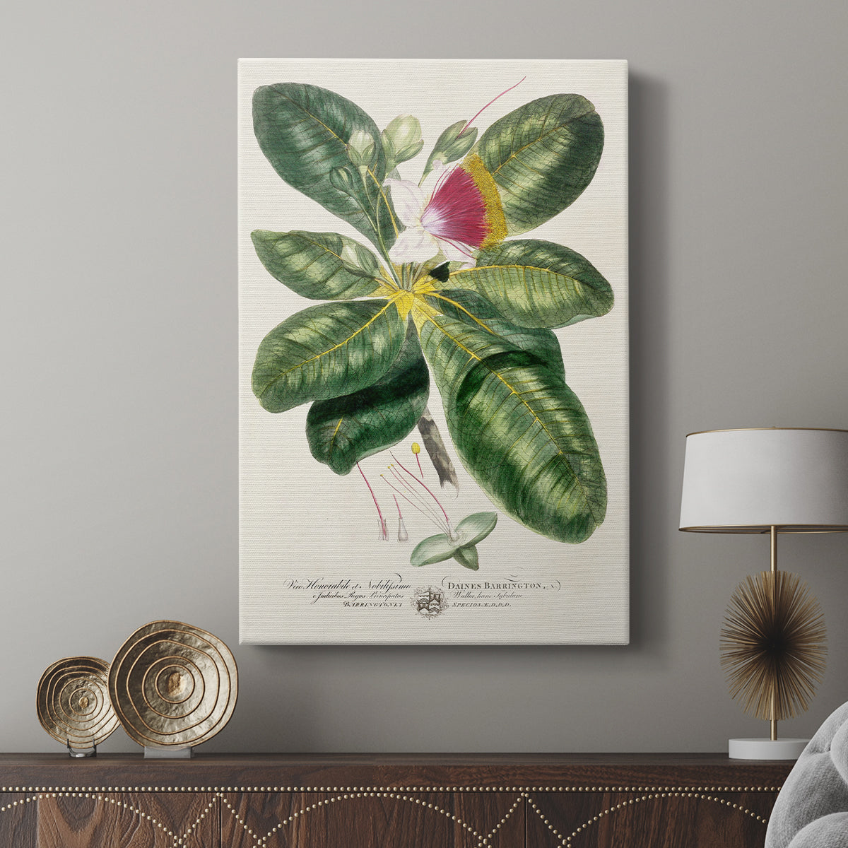 Imperial Tropical Botanical I - Canvas Art Print