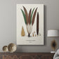 Botanical Society Ferns I - Canvas Art Print