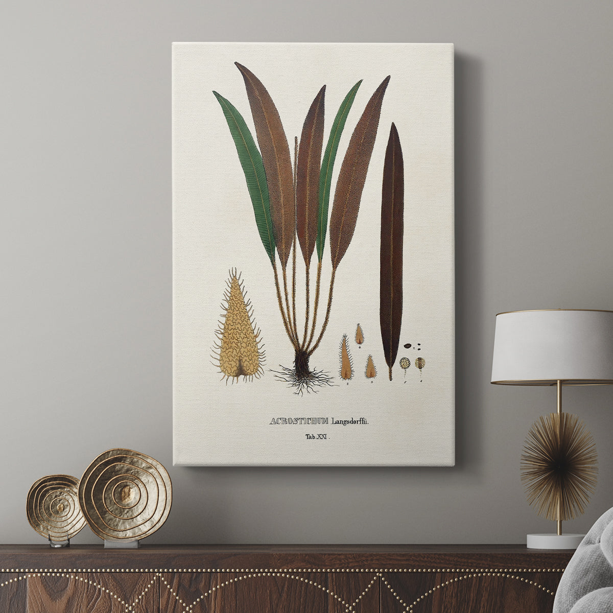 Botanical Society Ferns I - Canvas Art Print