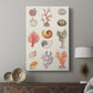 Coral & Shell Collage I - Canvas Art Print