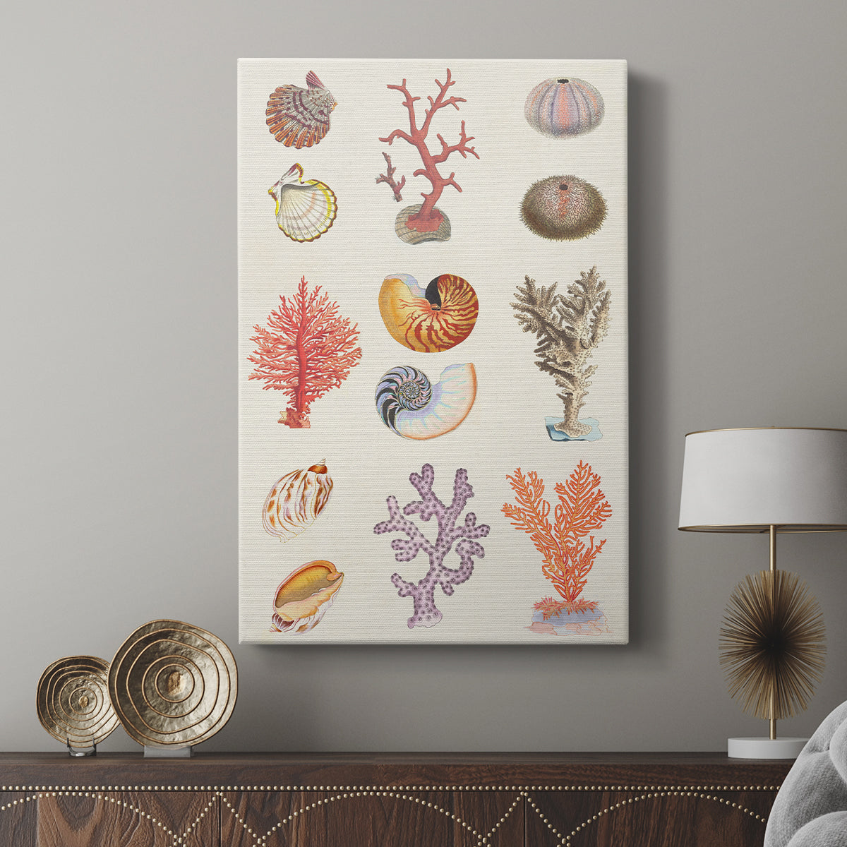 Coral & Shell Collage I - Canvas Art Print