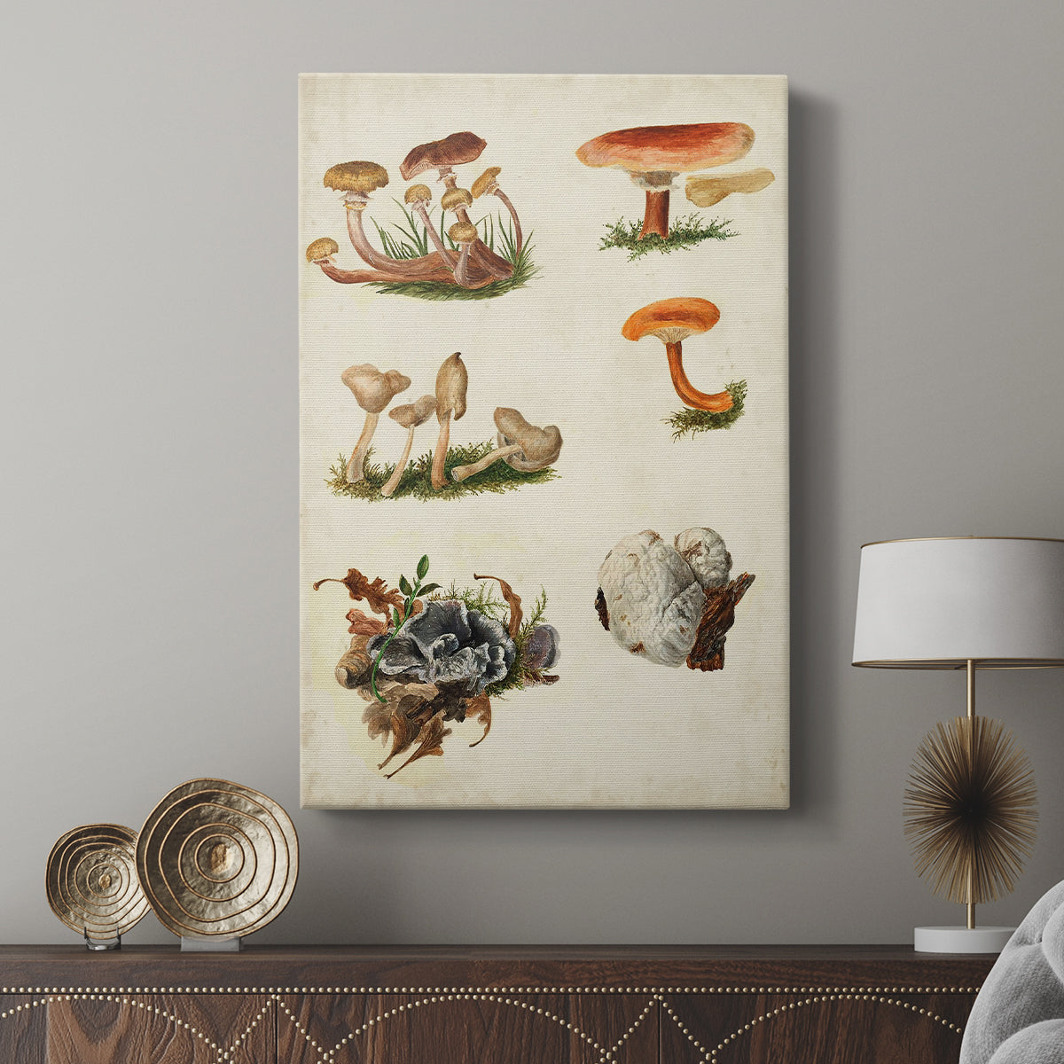 Mushroom Species X - Canvas Art Print