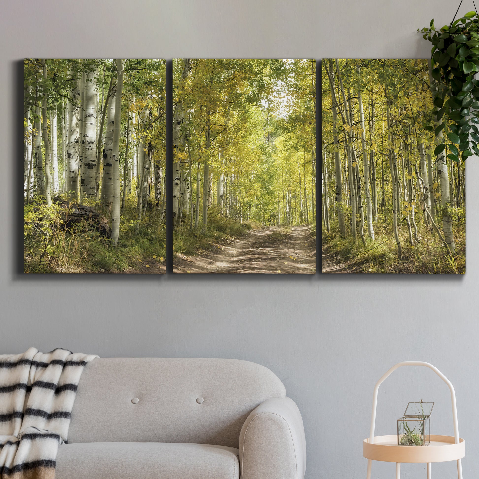 Three-panel canvas wall art featuring tree lined forest road photograph, displayed in a modern living room above a sofa.