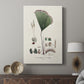 Botanical Society Ferns IX - Canvas Art Print