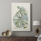 Buchoz Tropicals VI - Canvas Art Print