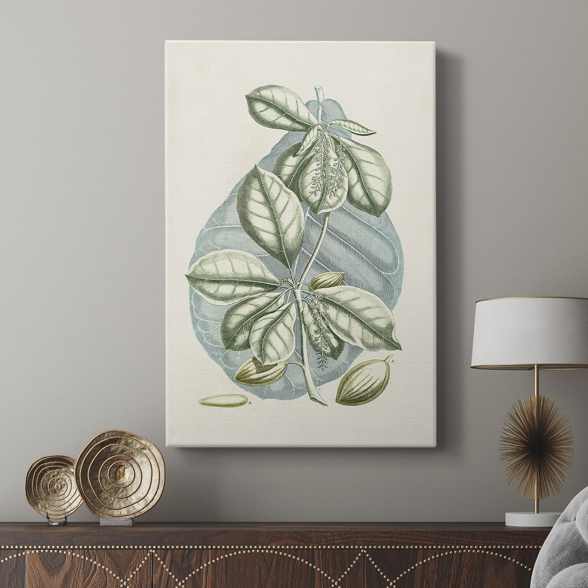Buchoz Tropicals VI - Canvas Art Print