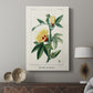 Turpin Tropical Botanicals VI - Canvas Art Print