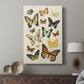Collected Flutter I - Canvas Art Print