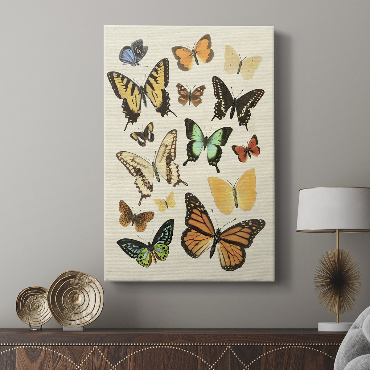 Collected Flutter I - Canvas Art Print