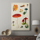 Mushroom Species VIII - Canvas Art Print