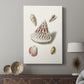 Pastel Knorr Shells VII - Canvas Art Print