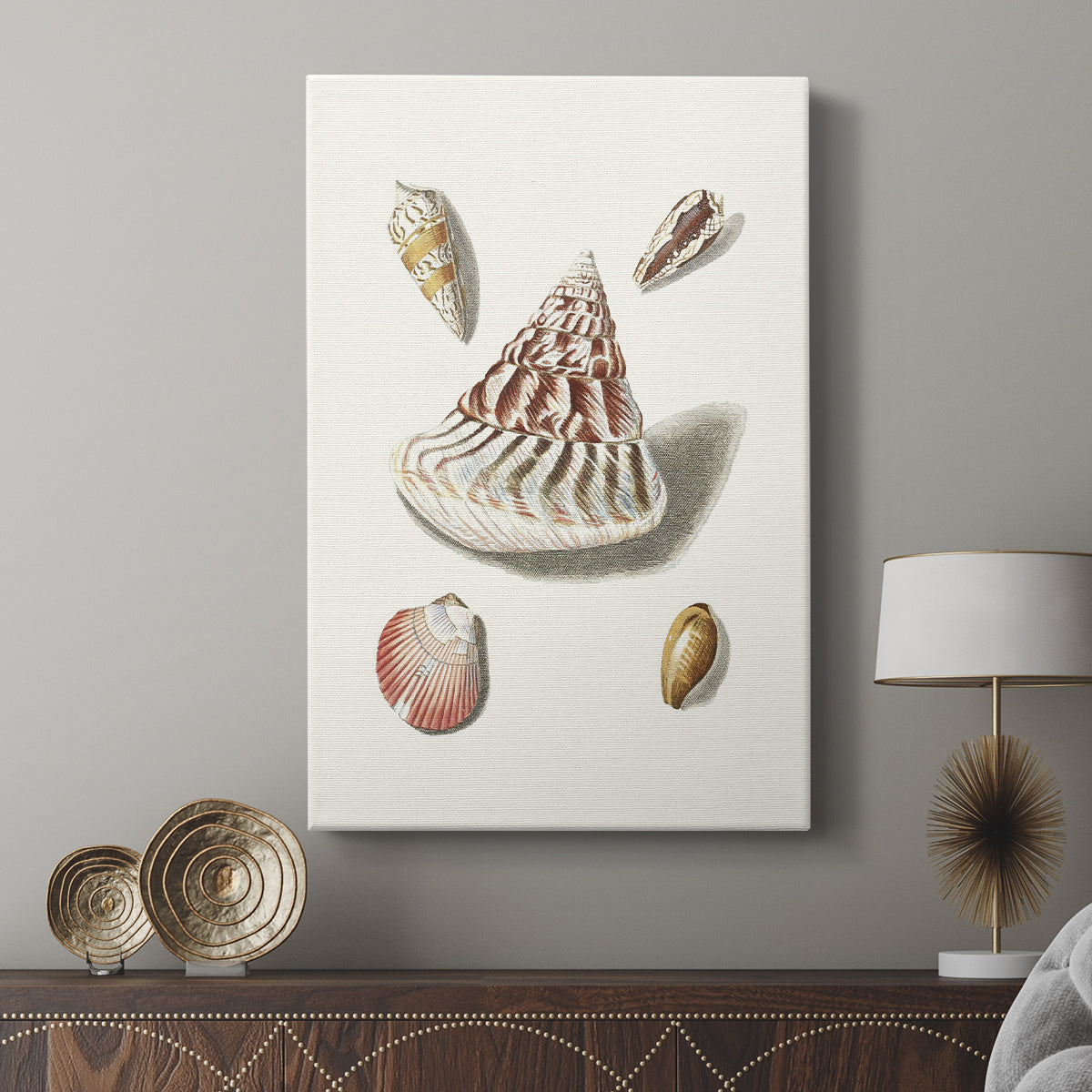 Pastel Knorr Shells VII - Canvas Art Print