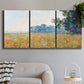 Three-panel canvas wall art featuring oat field with scattered poppies, displayed in a modern living room above a sofa.