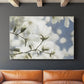 Unfolding Beauty - Canvas Art Print