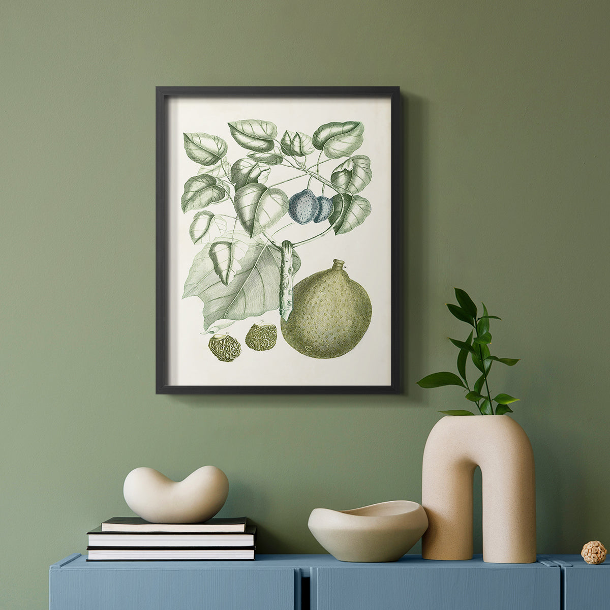 Buchoz Tropicals VIII - Restickable Framed Art Print
